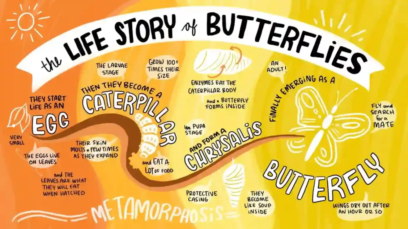 How to Tell and Draw Stories With Simple Visual Techniques